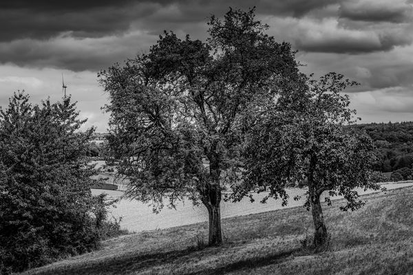 Kulturlandschaften Bilder & Fotos