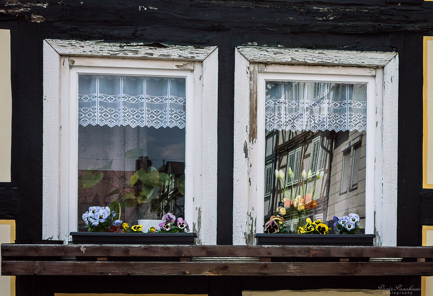 Die alten Fenster