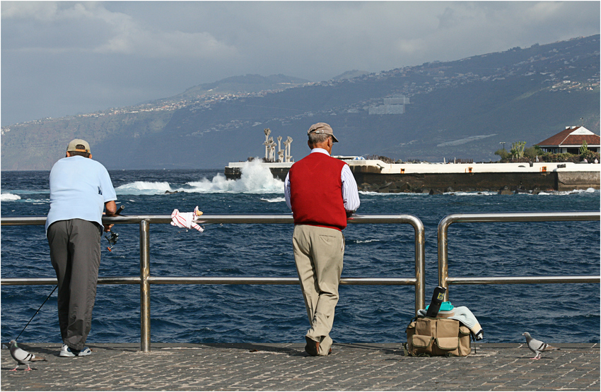 Die alten Männer und das Meer