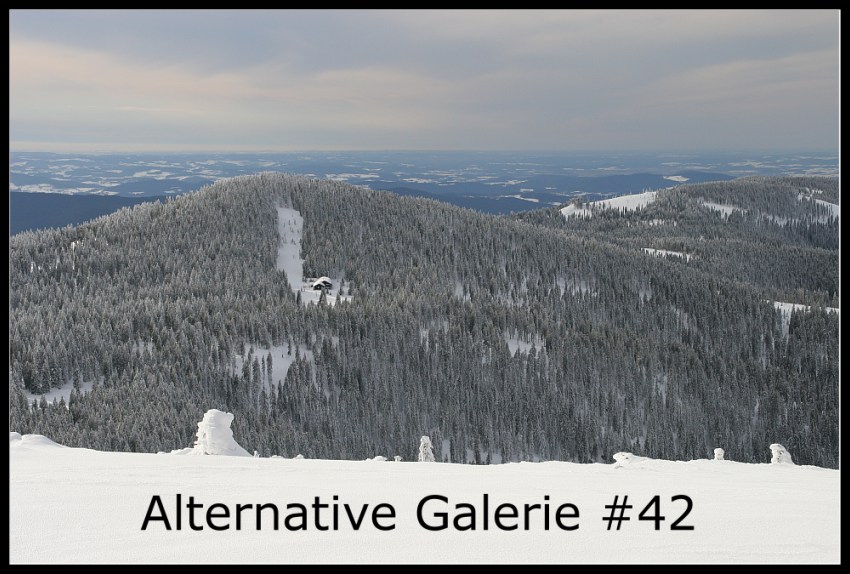 Die alternative Galerie #42 *Geschlossen*