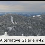 Die alternative Galerie #42 *Geschlossen*