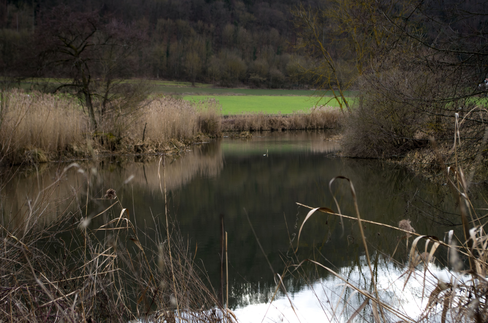 Die Altmühl im Februar