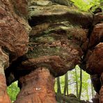Die Altschlossfelsen sind eine Felswand aus Buntsandstein im Pfälzerwald 1