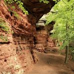 Die Altschlossfelsen sind eine Felswand aus Buntsandstein im Pfälzerwald   2