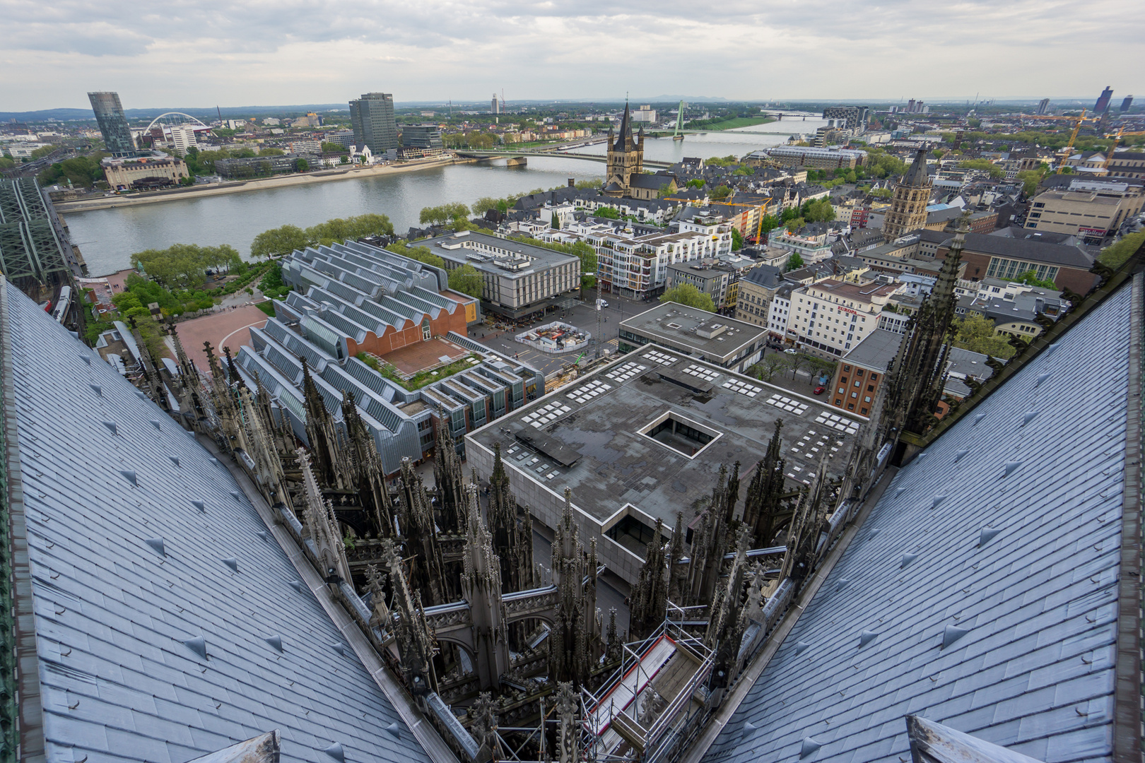 Die Altstadt vom Domdach