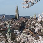 Die Altstadt von Bern...