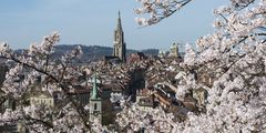 Die Altstadt von Bern...