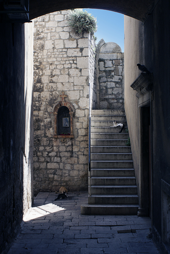 Die Altstadt von Šibenik (Kroatien - Dalmatien)