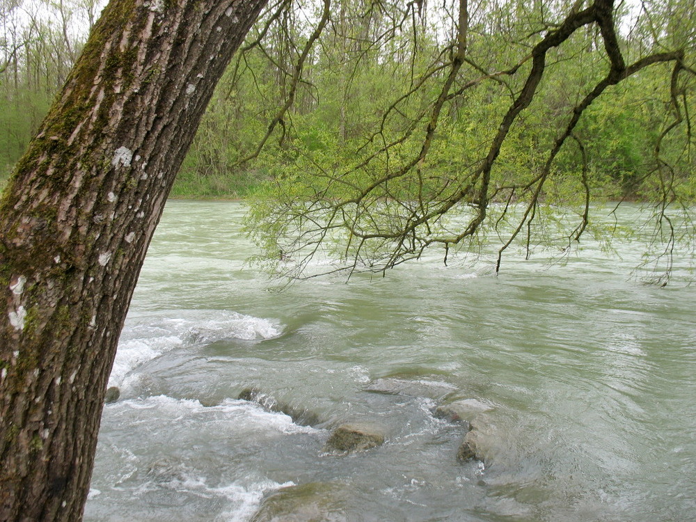 Die Alz bei Burgkirchen Foto & Bild landschaft, natur Bilder auf