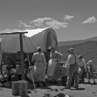 Die Amish leben freiwillig wie vor 300 Jahren.