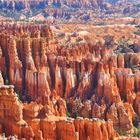 Die Amphitheater vom Bryce Canyon