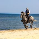 Die andere Art des Strandspaziergangs