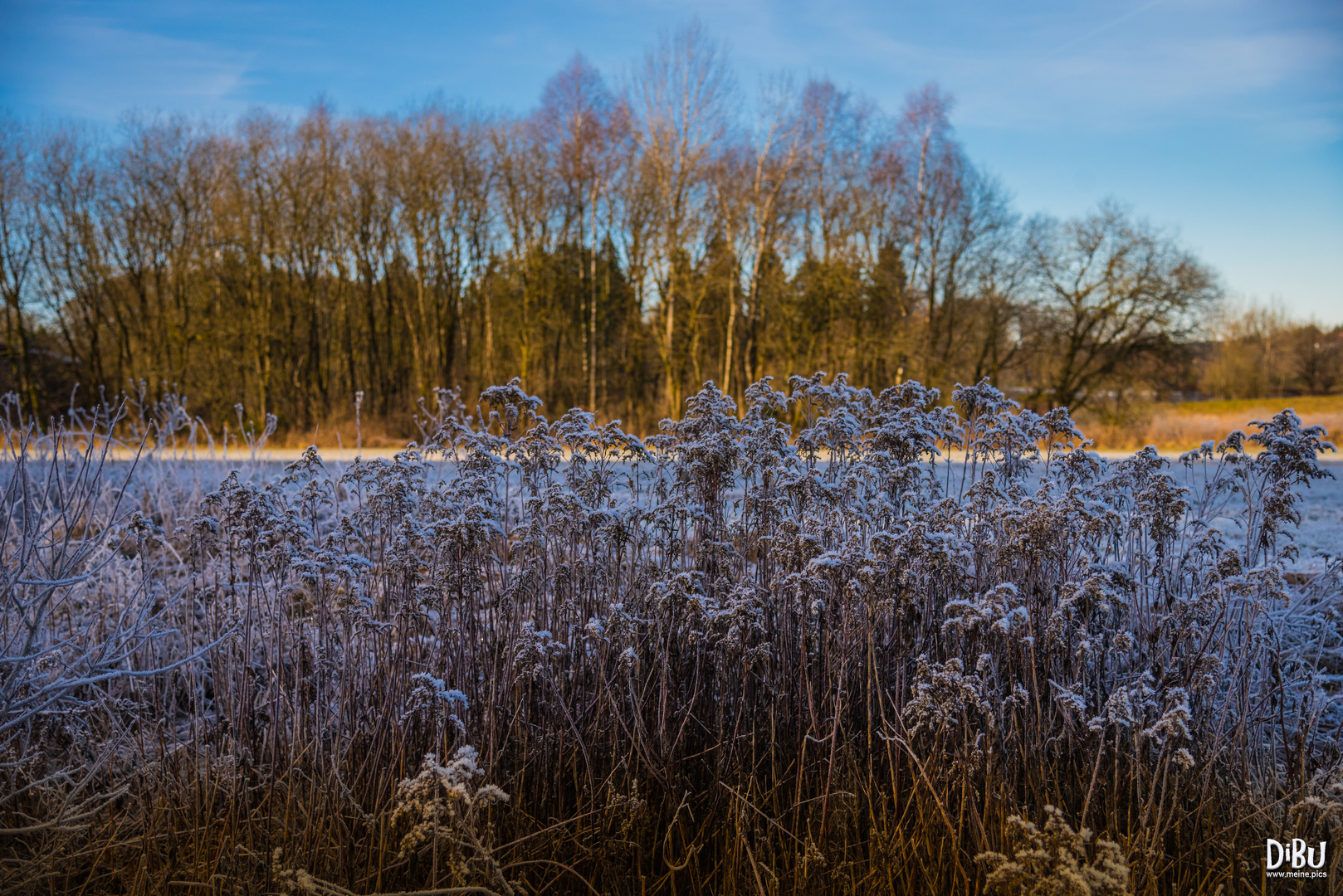 Die andere Seite Foto & Bild natur, kalt, teich Bilder auf