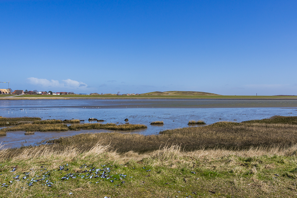 Die andere Seite der Insel Norderney