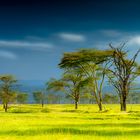 Die andere Seite des Lake Nakuru