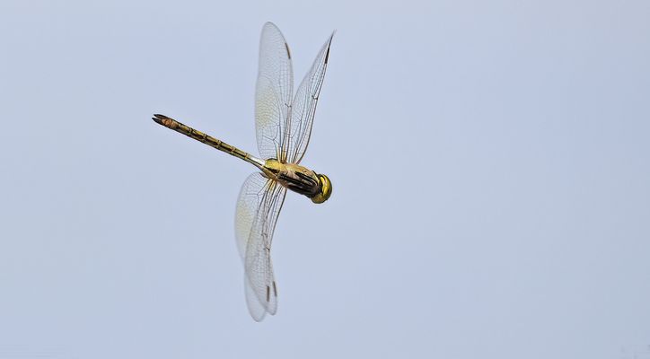 Die andere Seite ..ND