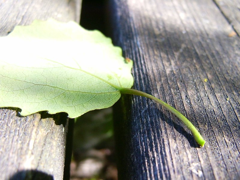 die andere seite / teil 2 von °