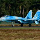 Die andere Sukhoi SU-27 Flanker