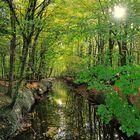 Die Angel im Tiergarten Wolbeck