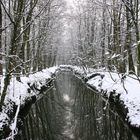 Die Angel schleicht leise durch den Tiergarten