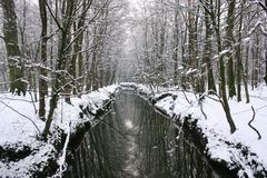 Die Angel schleicht leise durch den Tiergarten