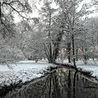 Die Anger im Poensgenpark