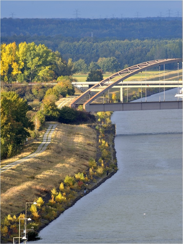 Die Angler am Elbe-Seitenkanal