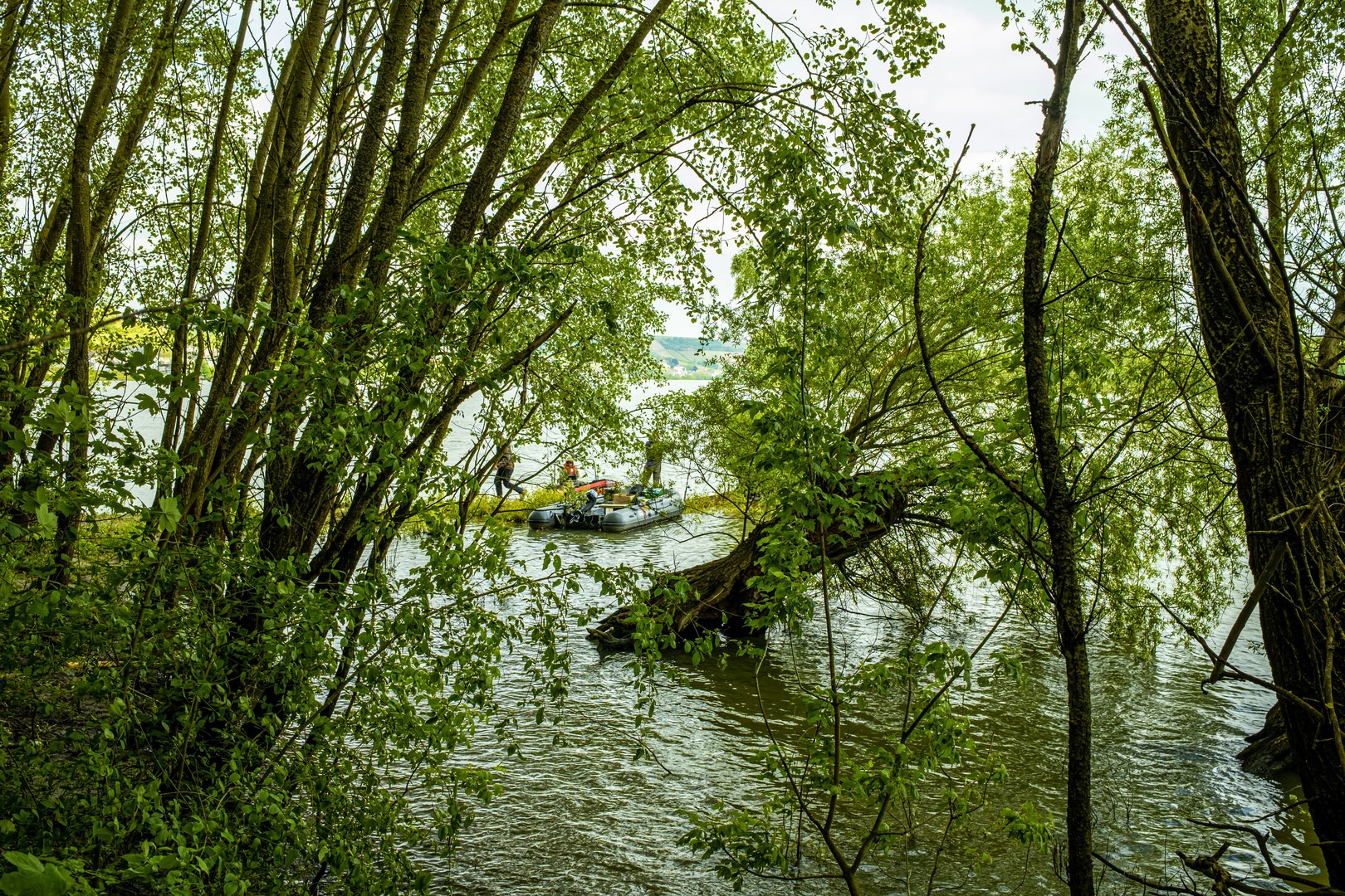 Die Angler auf dem Rhein 2