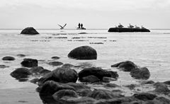 Die Angler von Göhren...