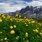 Die Ankebälli der Grossen Scheidegg