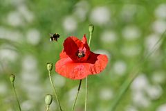 ... die Annäherung an das Glück ...