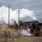 Die Anrufschranke in Spree