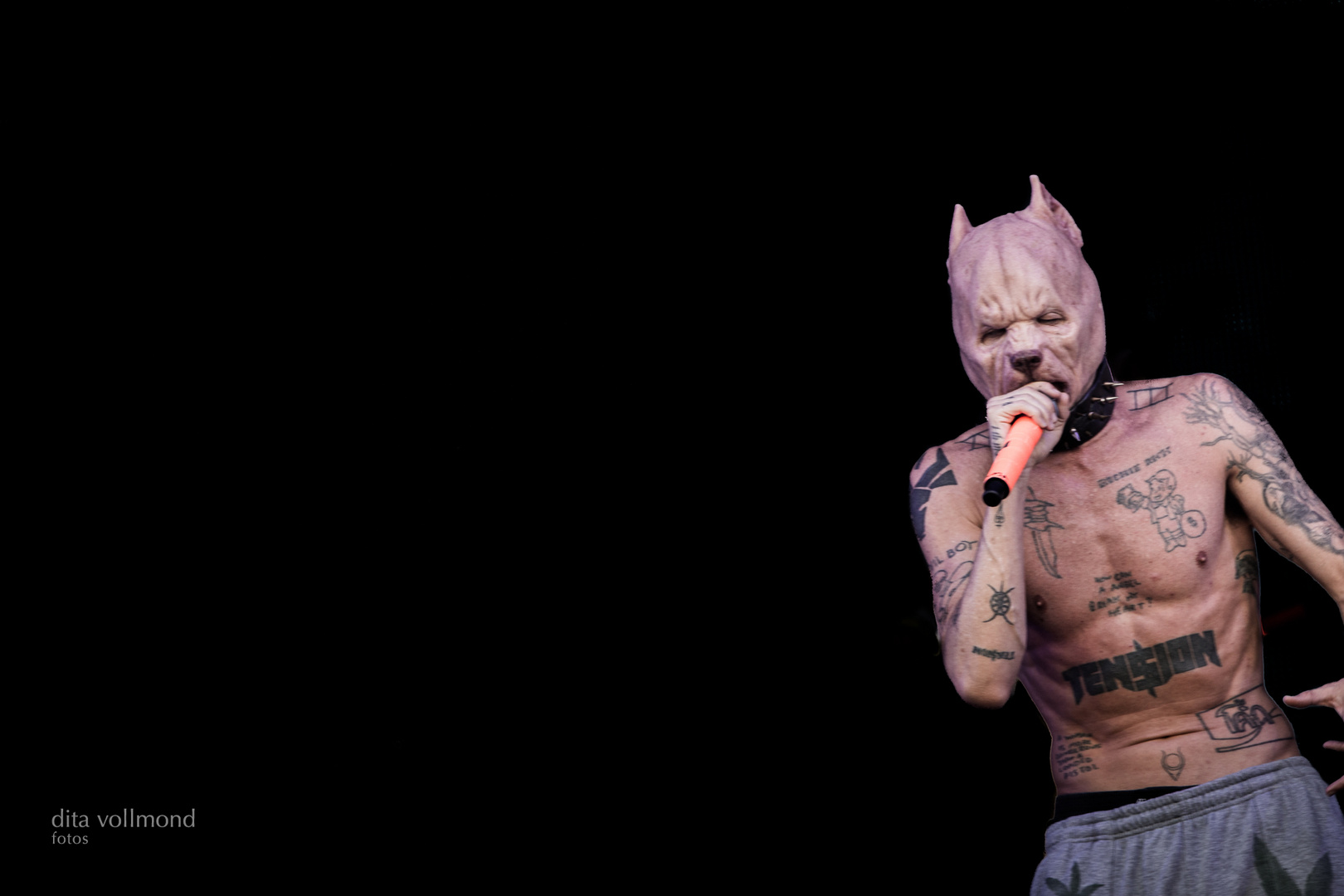 Die Antwoord