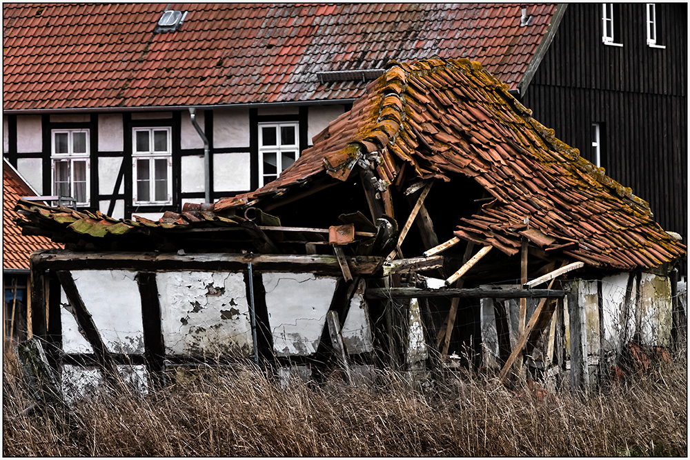 Die Antwort weiß nur der Wind