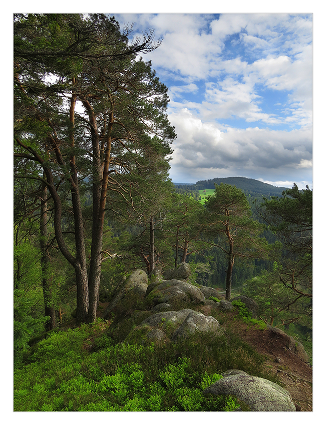 Die Apfelfelsen und die knorrigen Kiefern dort