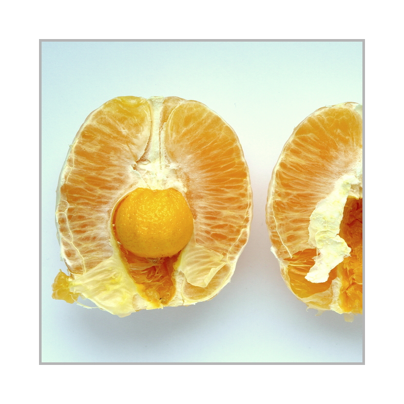 die apfelsine in der apfelsine Foto & Bild stillleben, arrangierte