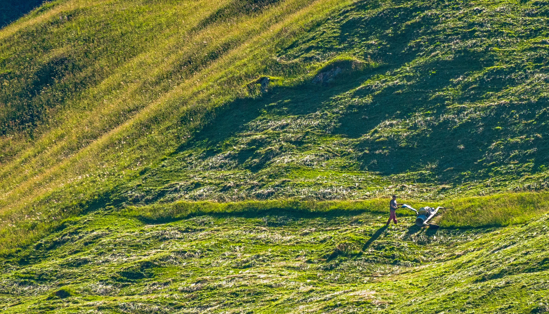 Die Arbeit der Bergbauer