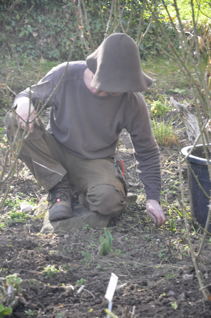 die Arbeit im Garten