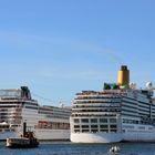 Die "Arcadia" läuft zur Hanse Sail 2015 von Warnemünde aus