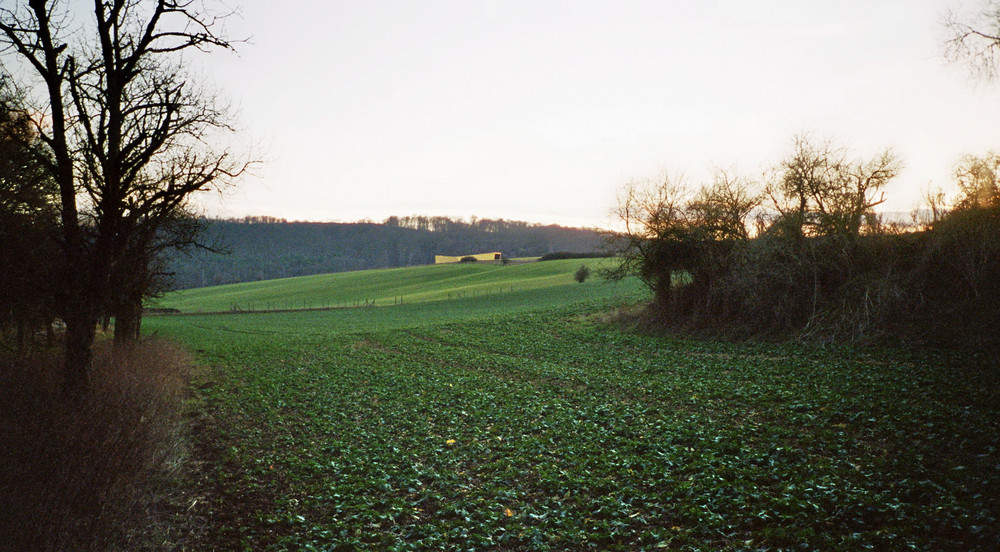 die Arche in der Abenddämmerung