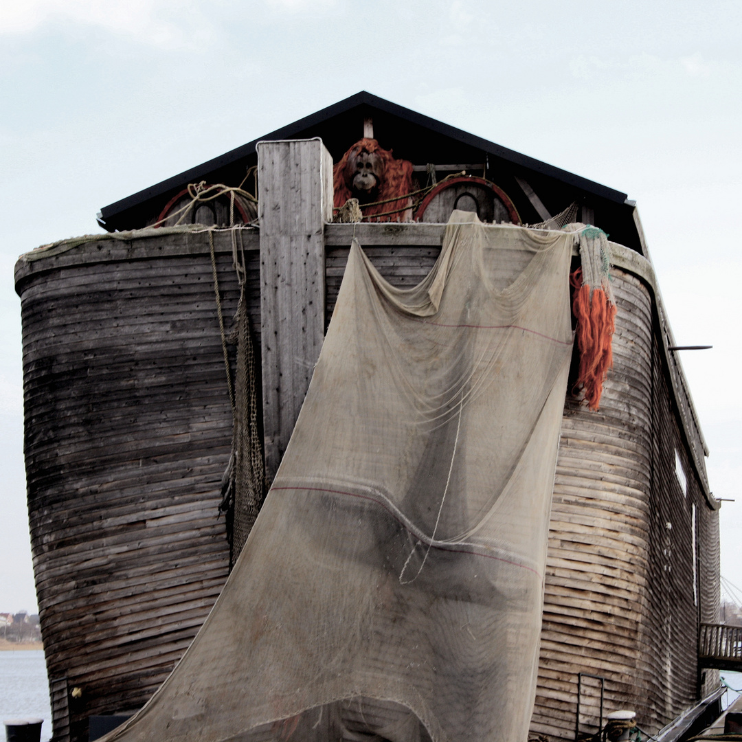 die "Arche Noah" im Rostocker Stadthafen