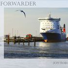 Die Ark Forwarder in Cuxhaven