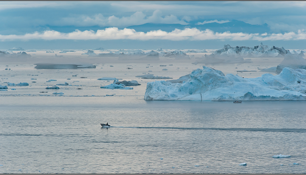 die arktische eiswelt