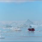 die arktische eiswelt