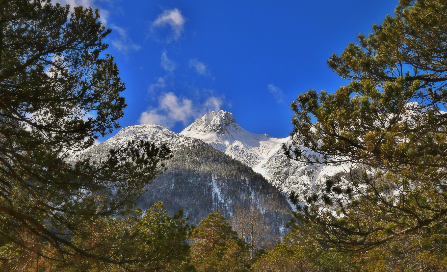 Die Arnspitze