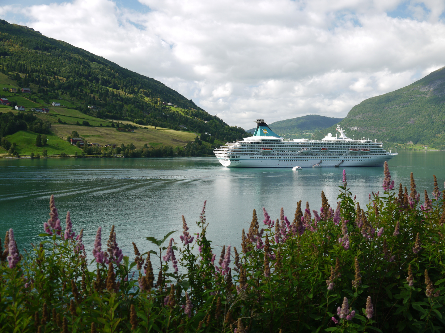 Die Artania im Nordfjord