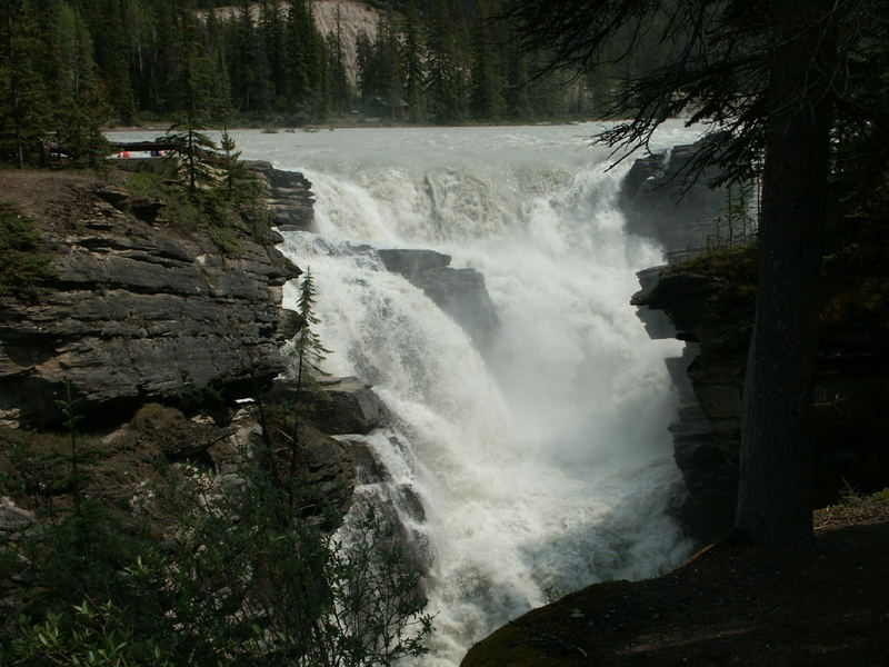 Die Athabasca Falls