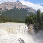 Die Athabasca Falls im Jasper National Park....