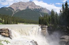 Die Athabasca Falls im Jasper National Park....