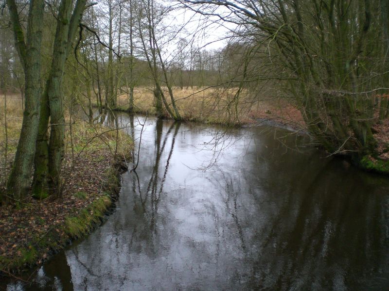 Die Au in Bad Bramstedt am alten Waldbad